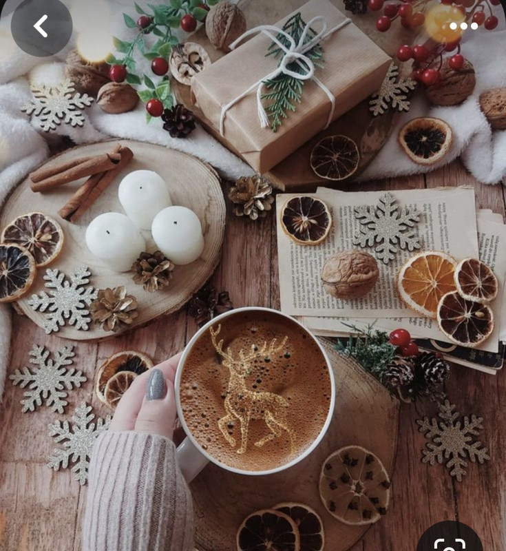 Screenshot_20240103_234807_Pinterest