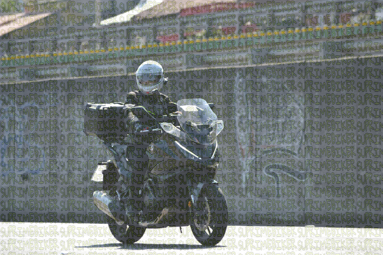 DSC 0011