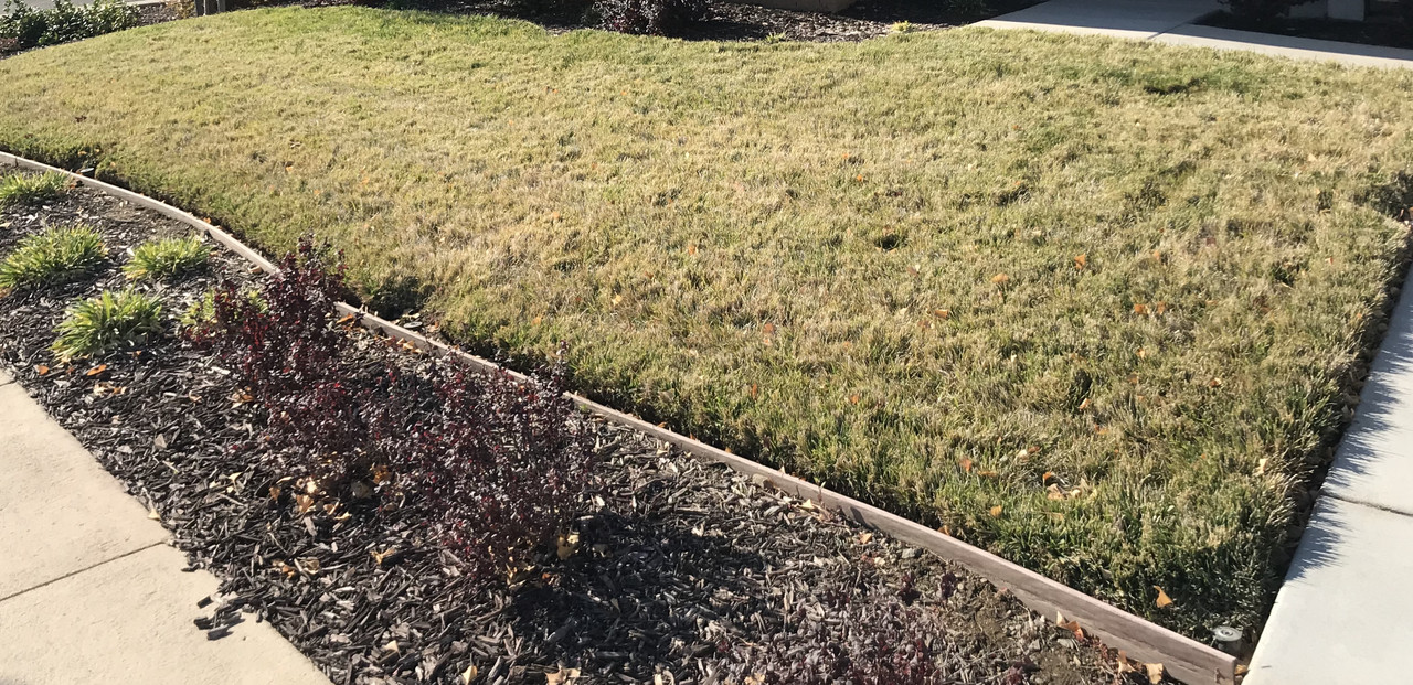 CFFEE19B-E620-4DB7-8A8A-9363C96CAD40