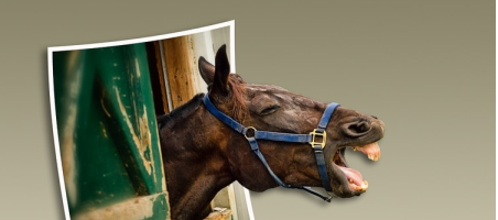 Creating Pop Out Photos in photoshop.