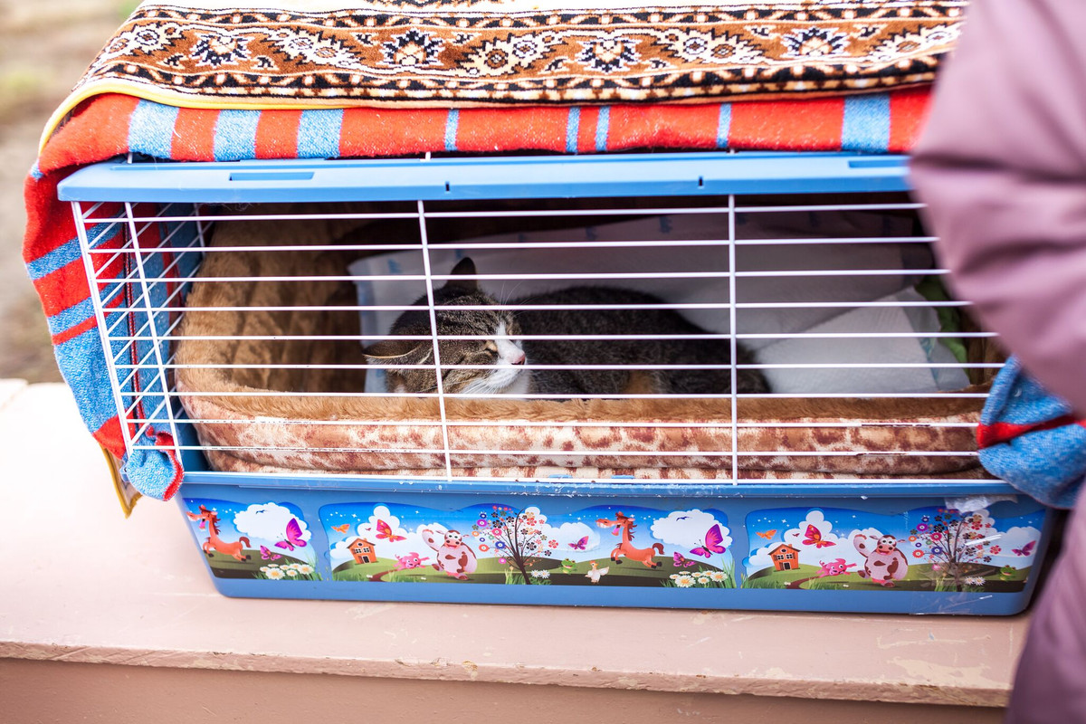 F96A898F-8375-4652-A0F2-732D97E4EDDC