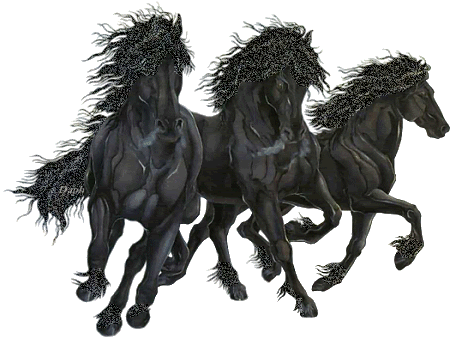 Horse Image