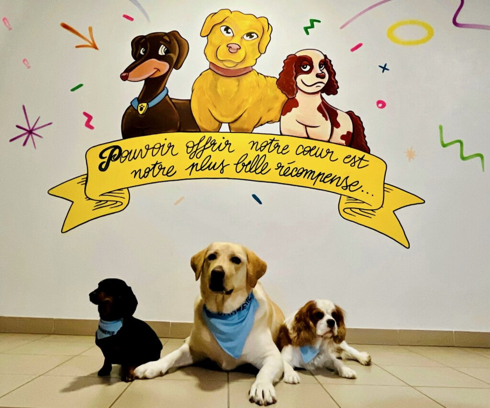 [Image: IMG-20240121-155332.jpg]