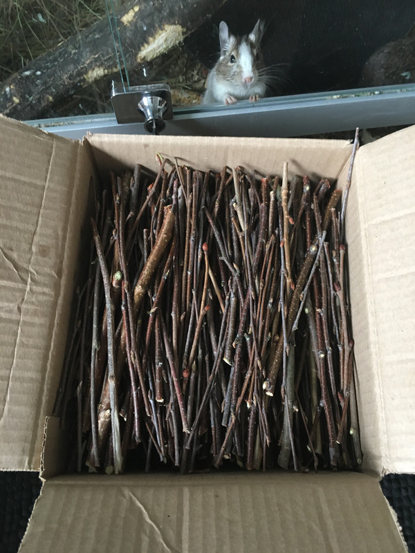 EE7AB628-DEB1-4DC4-9B3F-EA918D60CDDF