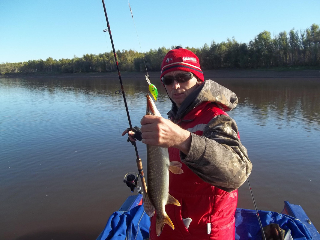 Изображение 007 096