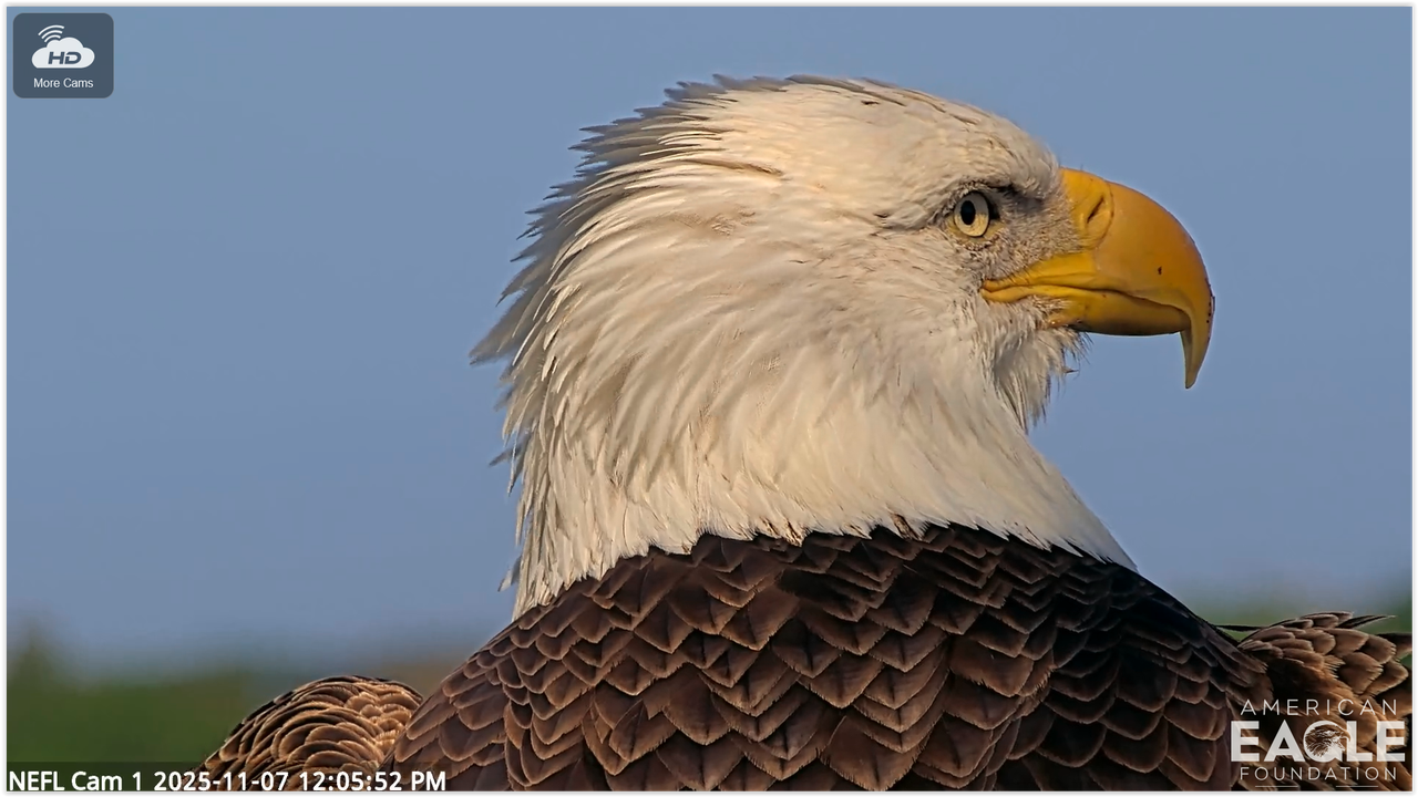 Screen Shot 11 07 25 at 06 08 PM 001