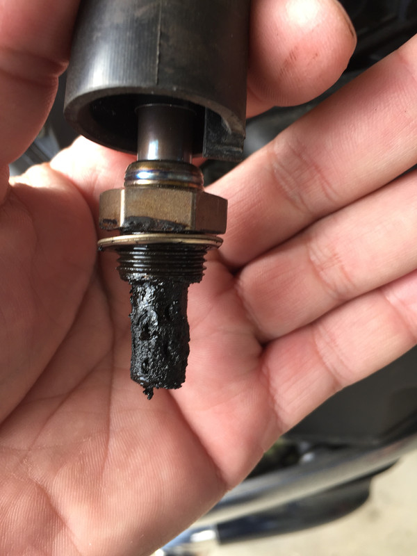 F6BBE699-7822-4CCA-AE8A-F35AAA10F63E