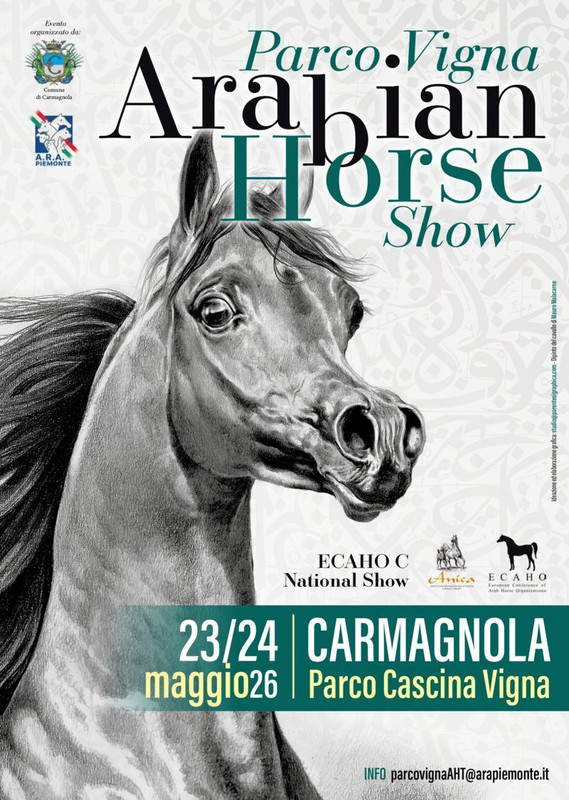 Parco Vigna Arabian Horse Show – Concorso per cavalli purosangue arabi – 23 e 24 maggio a Carmagnola