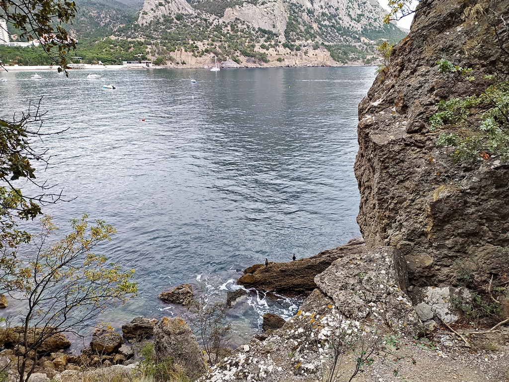 https://i.postimg.cc/d0929D5c/IMG-20210920-093305.jpg