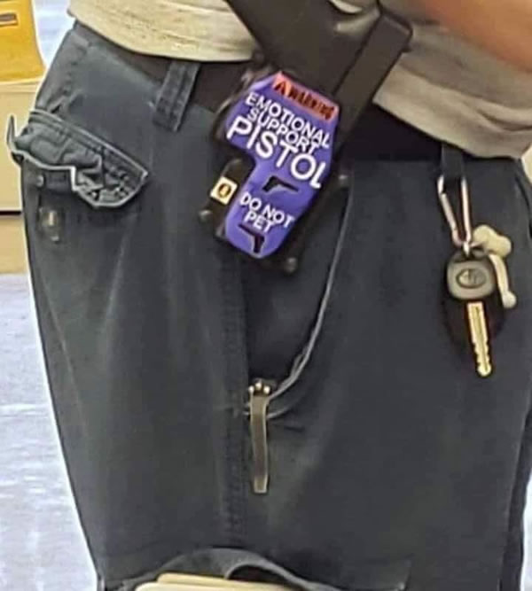 emotional-support-pistol.jpg