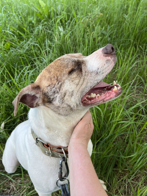 C604DD63-14A1-4AE6-BF56-48DB6E13630F