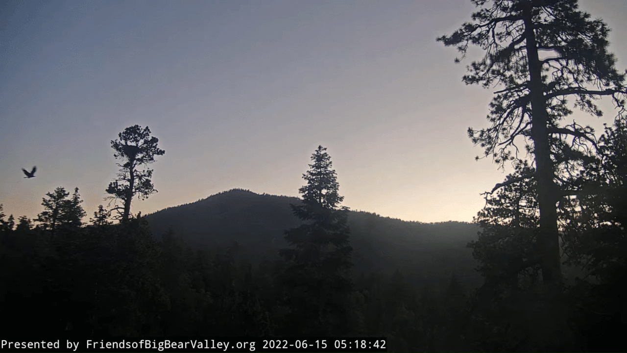 Webp.net-gifmaker (1)