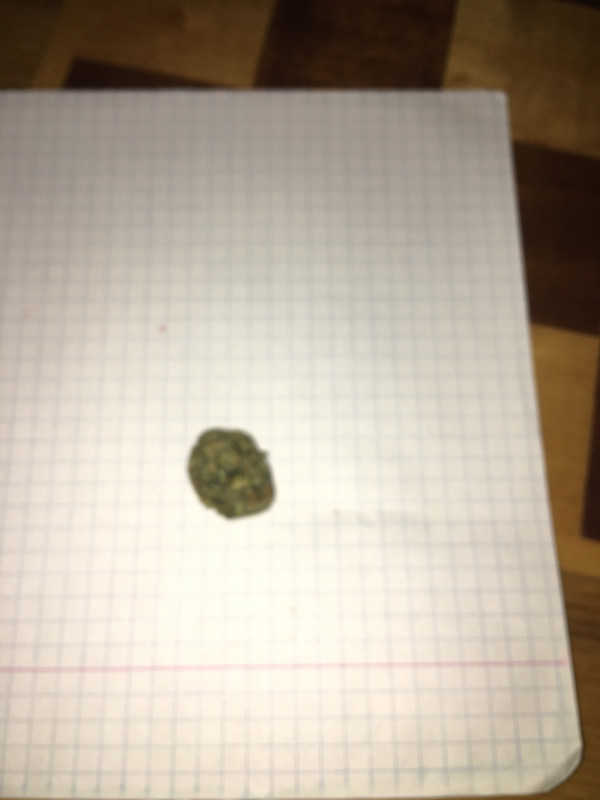 1E24B231-AB75-4305-AF28-A26F17034897