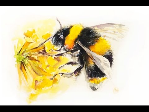 Painting Bees in Watercolor, Gouache, & Watercolor Pencils
