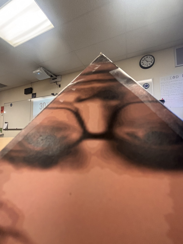 Slide 4D