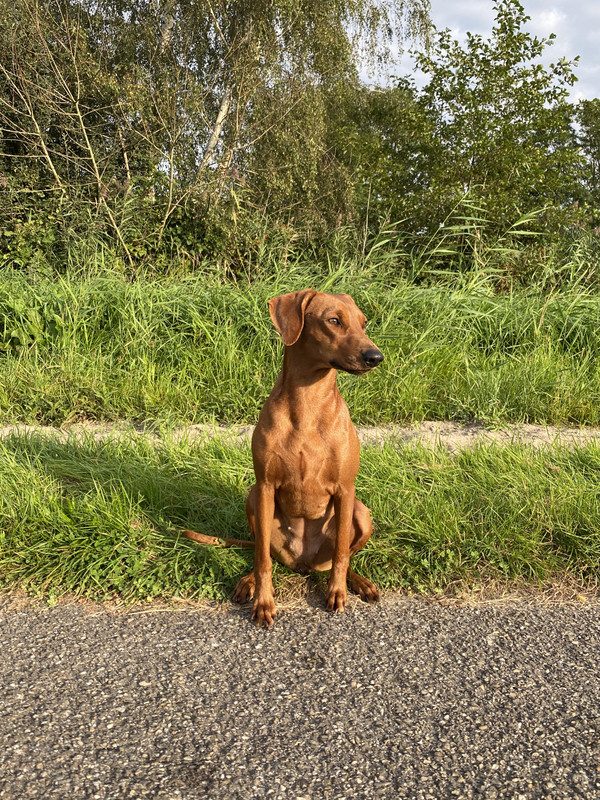 07CA5367-1A77-4FFD-A769-DED8B42A82E3