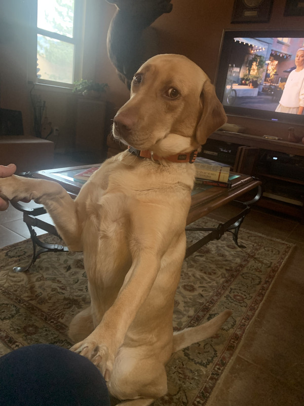 195FB15F-925C-4058-8908-5B2D0D06A4B9