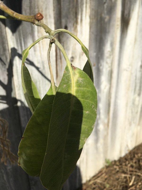 91DB267E-4F92-4C53-9D09-BC60E80647A9