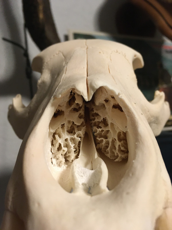 664BB810-B074-4081-A99E-D0F625E41F3E