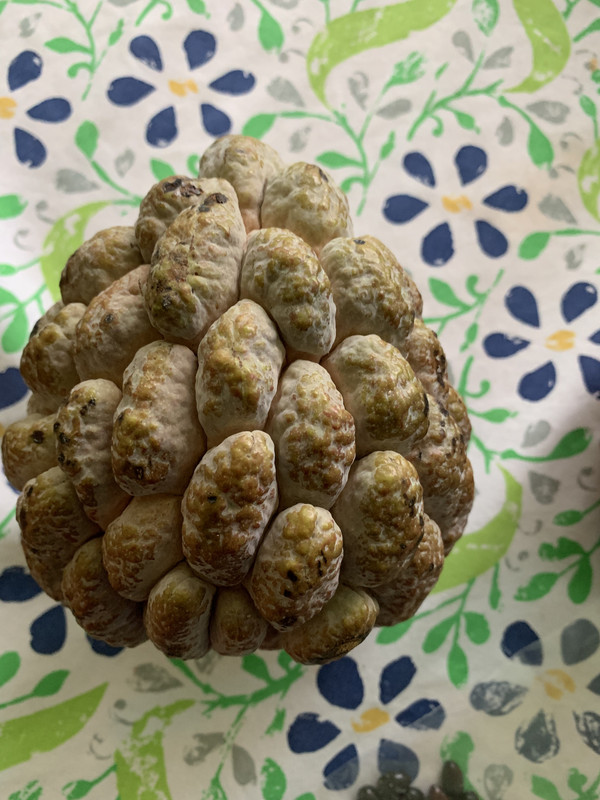 C7379030-6B9D-447C-A9CE-44AD51F4B3EB