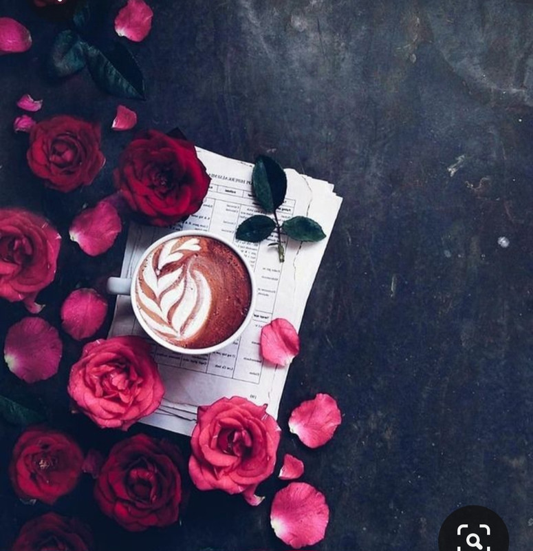 Screenshot_20230501_225542_Pinterest