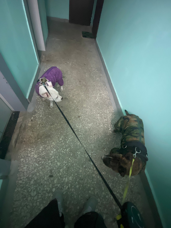 77CE56E3-43ED-4A17-8F76-318F87D211CE