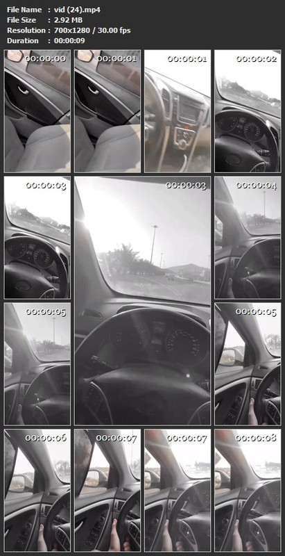 vid (24).mp4