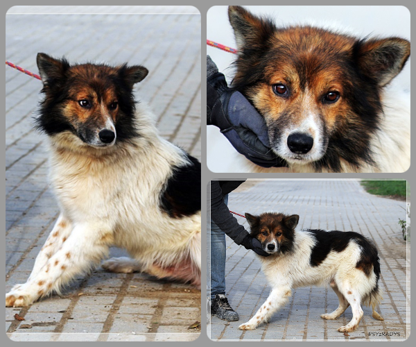 BeFunky-collage (21)