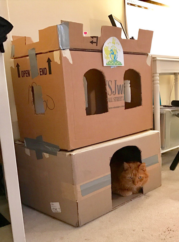cat-forts5.jpg