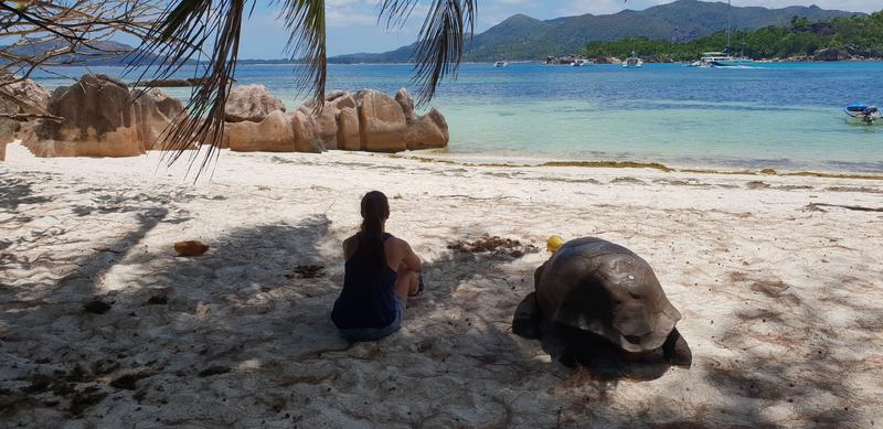 DÍA 3:  PRASLIN – CURIEUSE ISLAND – SAINT PIERRE - Seychelles-2ª parte de nuestra luna de miel. Se puede pedir más? (30)