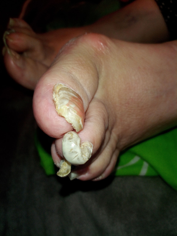 IMG_20240122_144145_355