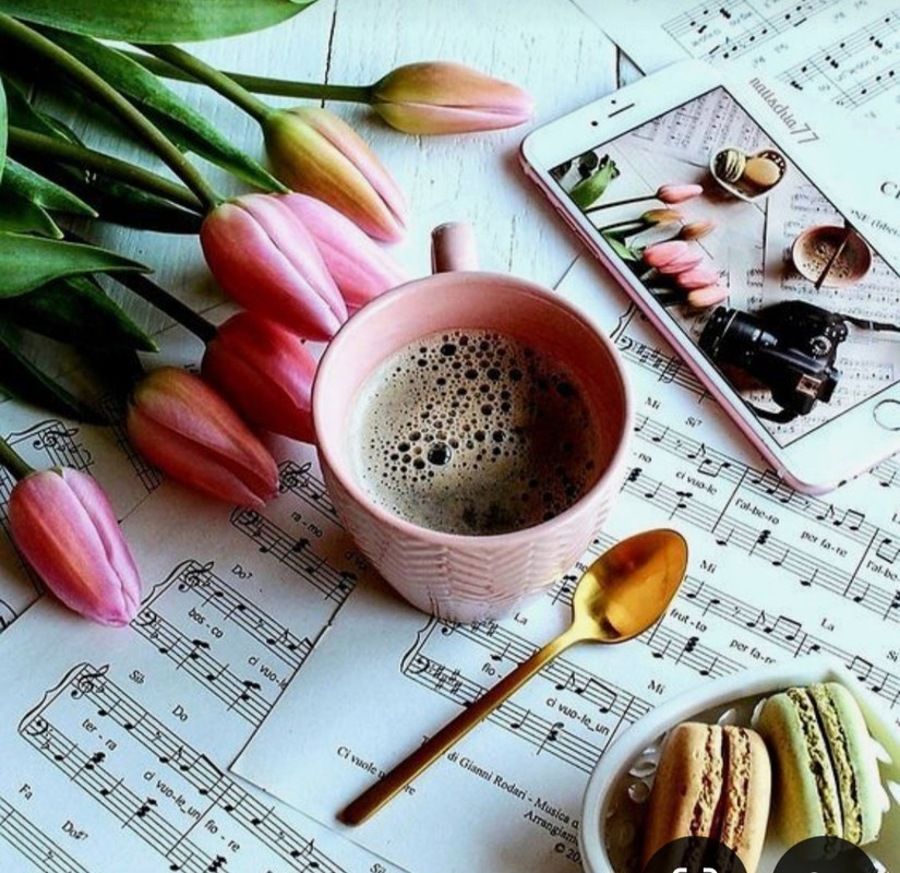 Screenshot_20240712_124028_Pinterest