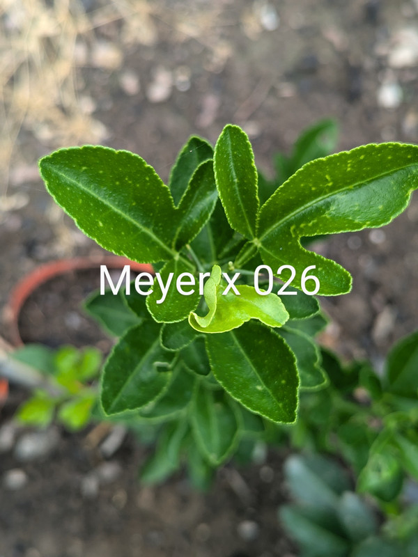 PXL_20240818_162845754~2