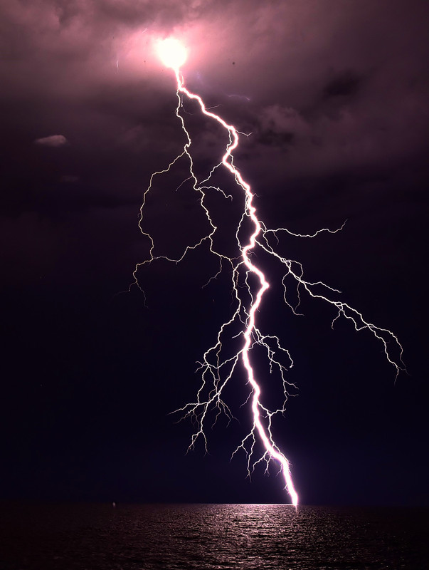 monster ontario bolt - Copy (2)