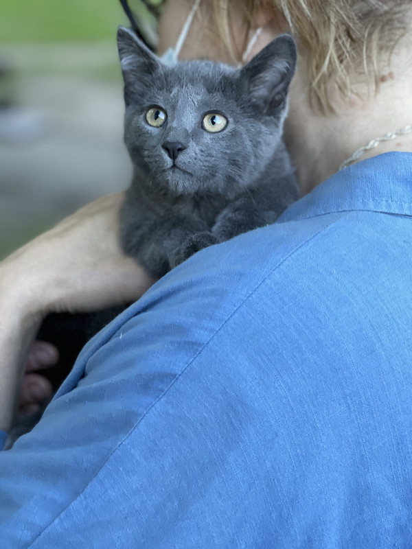 BFF8E076-60DE-4991-AA8F-CE2AB4B5EAAA