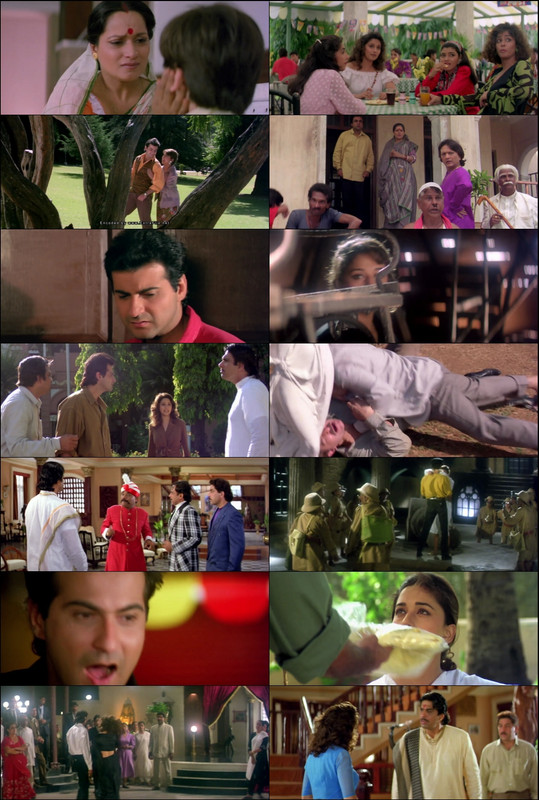 Raja (1995) 1080p | 720p | 480p WebRip [Hindi (हिन्दी)] DD5.1 ESub