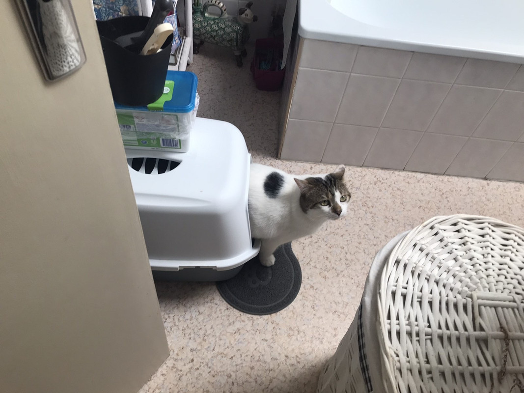 61344C4A-2142-47C7-9A2D-D6C7910244A9