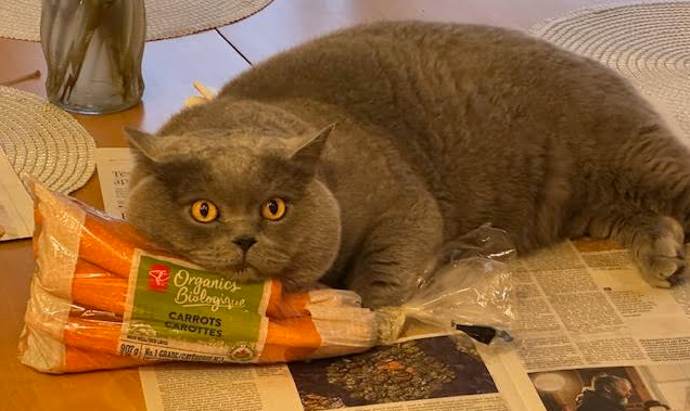 [Image: IMG-2580.png]