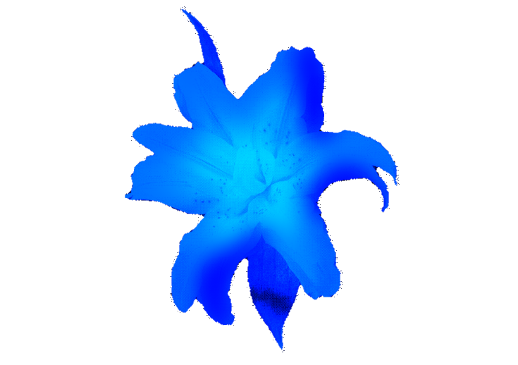 3552.png