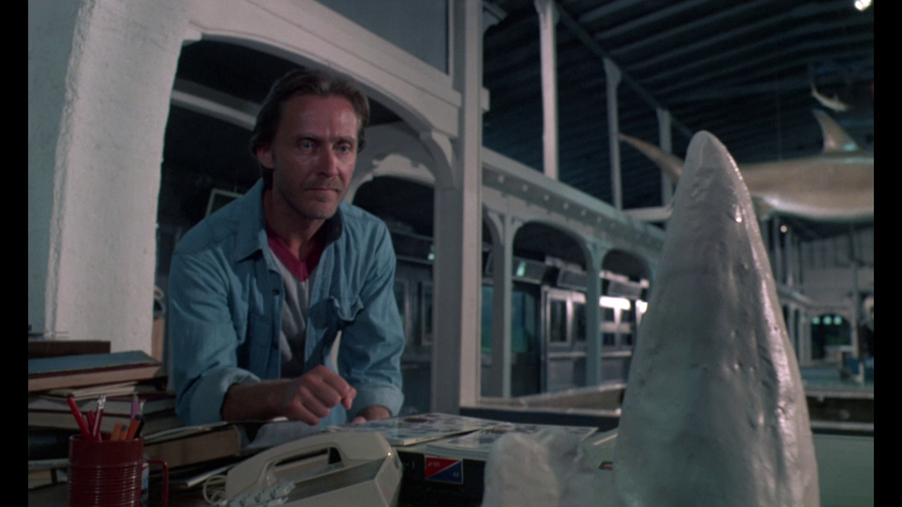 vlcsnap-2023-06-26-15h27m49s491