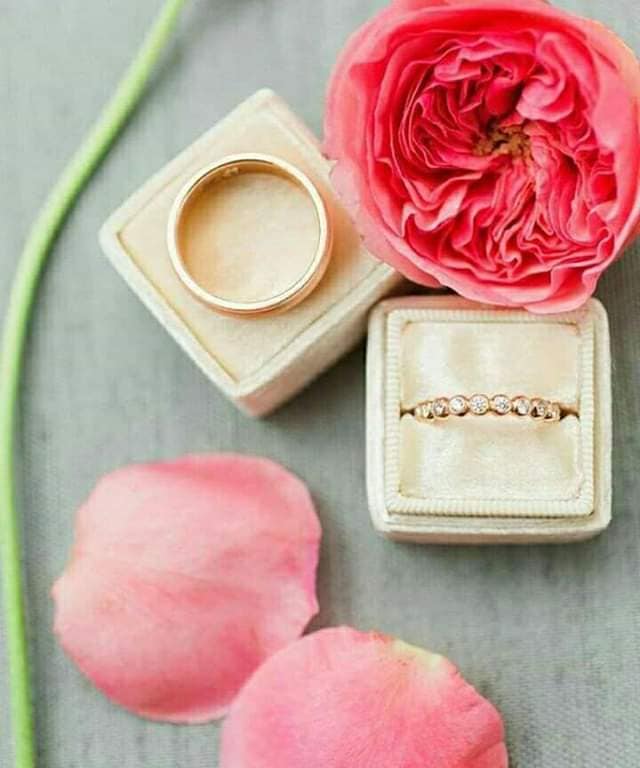 ���� ���� ������ �� ���� ������