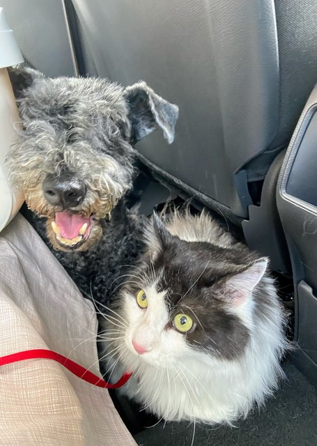 5568507-B-1-AB6-48-D2-B56-C-D7-D113-B0-A