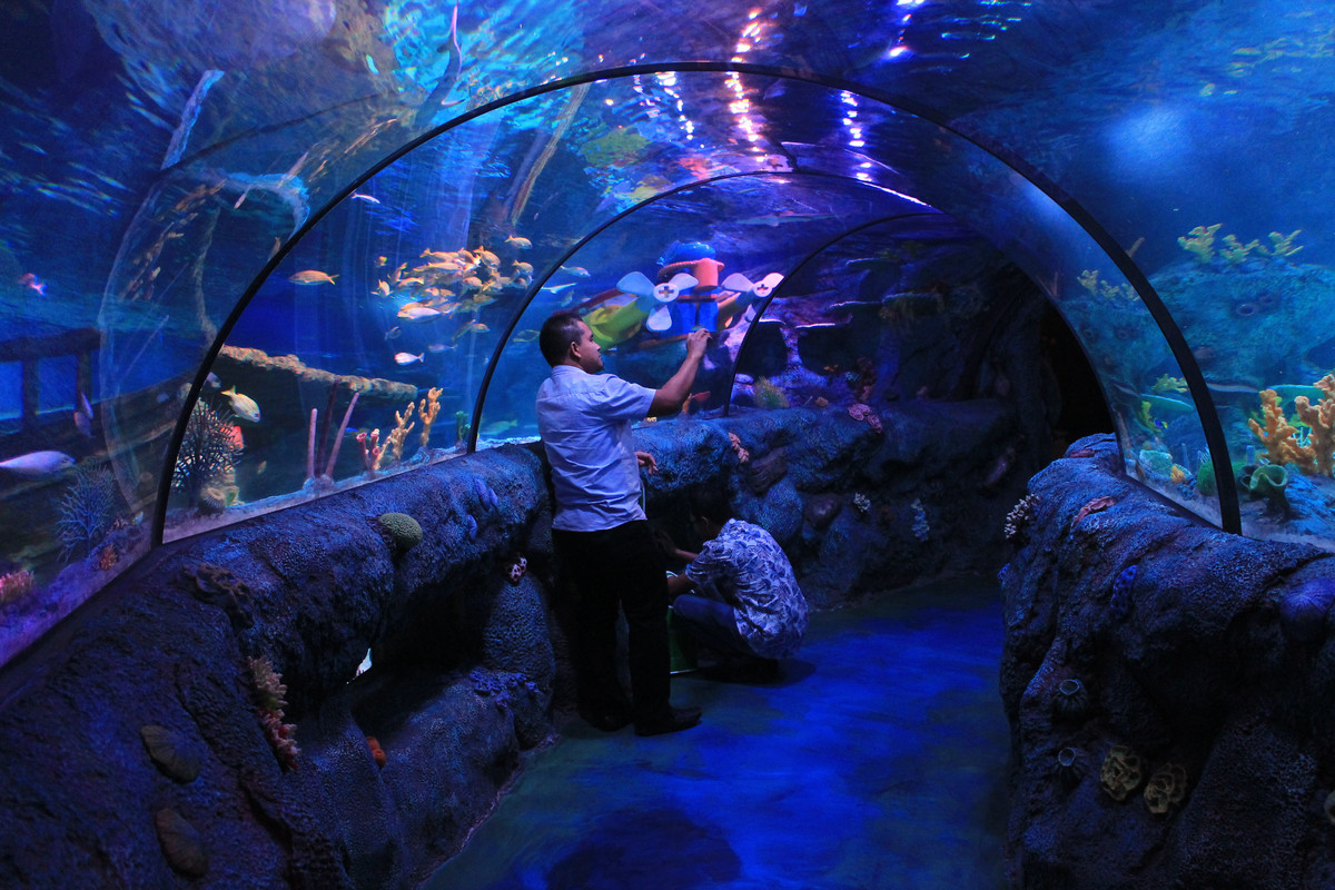 Ocean Tank di SEA LIFE Malaysia