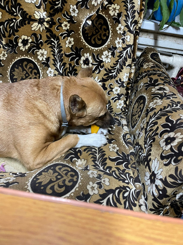 8FF843A3-FFF4-48F8-B9BE-A8004DD9FDB9