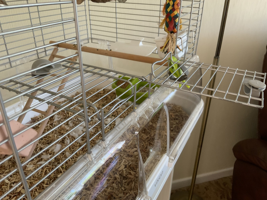 0F98B630-476C-4C19-9B9A-F2DB4FF6FDD1