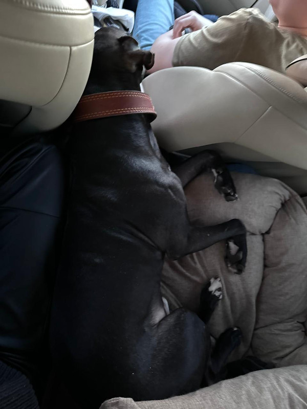 A48BE44D-FA9F-4923-9386-E2937E2C2E38