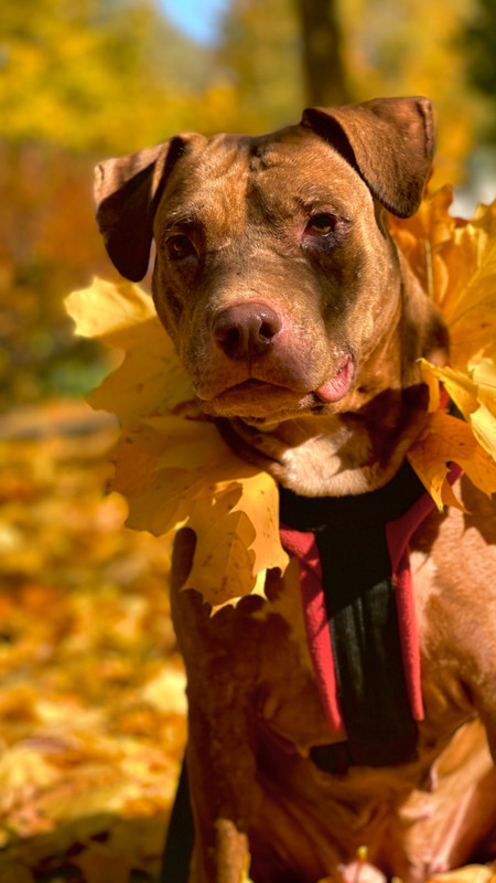 8114D1B0-8735-4374-B9D0-9F72634B63B4