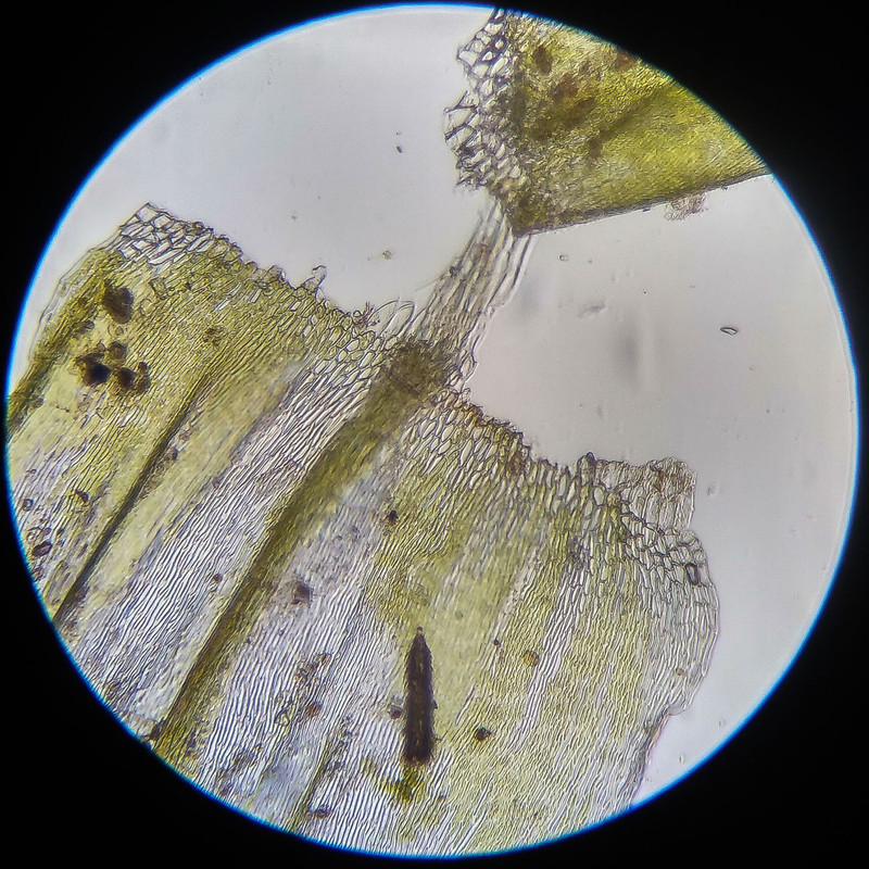 IMG 20250614 122534 HDR