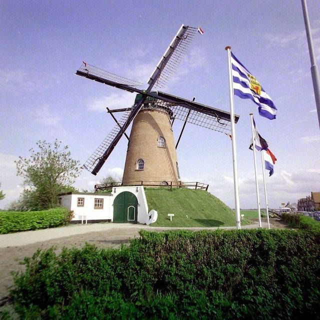 molen-cadzand.jpg