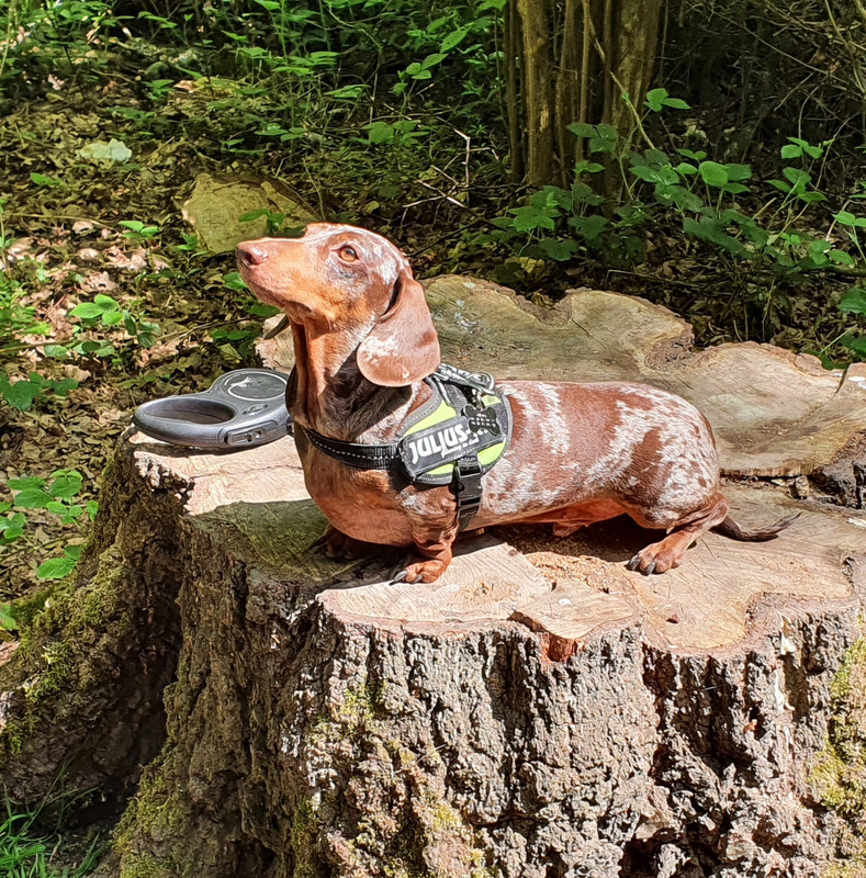 [Image: IMG-20220508-WA0001.jpg]